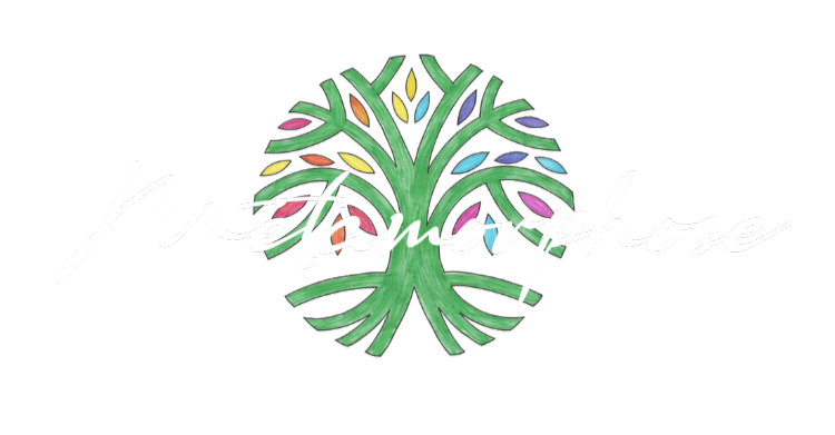 Métamorphose Paysagiste_logo